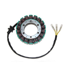 ESG098 Generator Stator