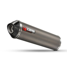 Aprilia RSV4 09-14 Titanium Oval Slip-on Exhaust With Carbon End